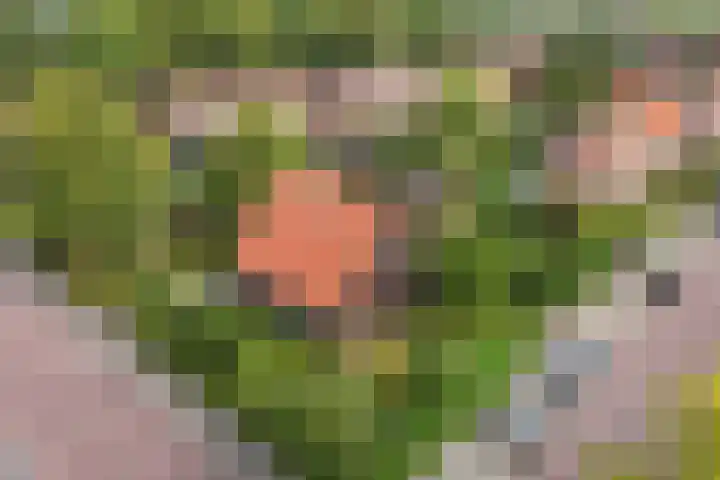 Waterkant 73 Ens thumbnail 15