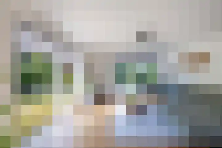 Waterkant 73 Ens thumbnail 19