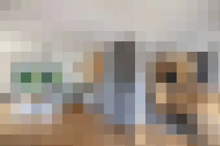 Waterkant 73 Ens thumbnail 23