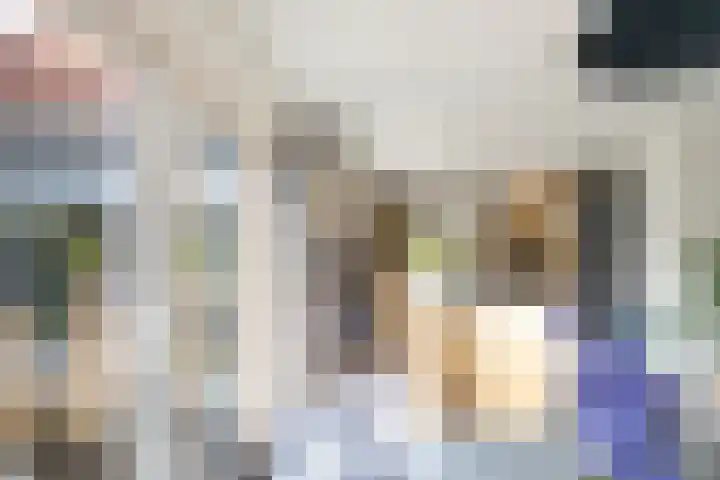 Waterkant 73 Ens thumbnail 28