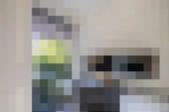 Waterkant 73 Ens thumbnail 33