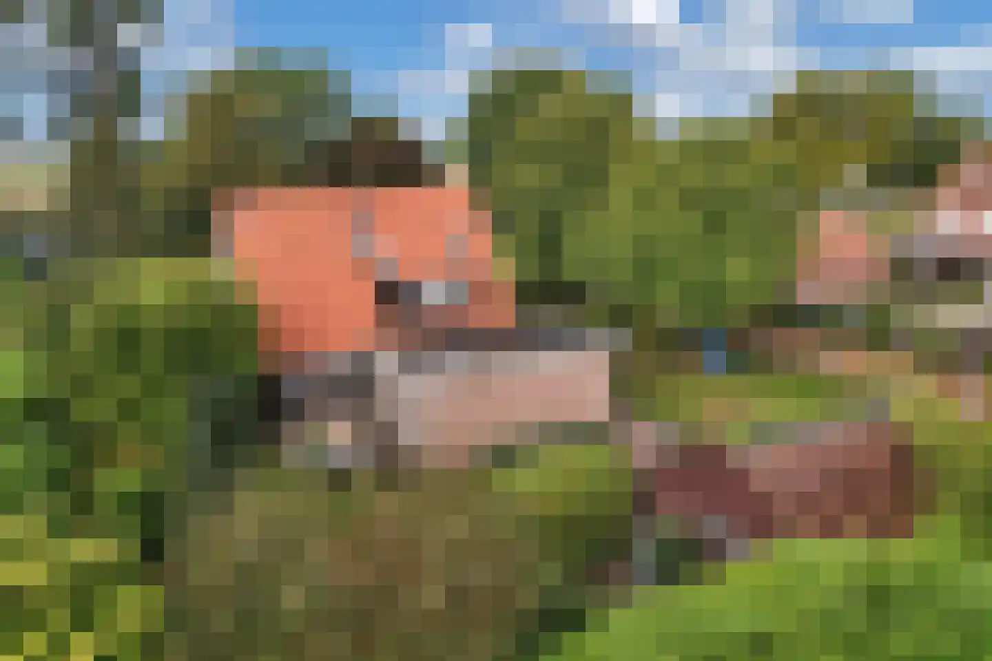 Waterkant 73 Ens thumbnail 45