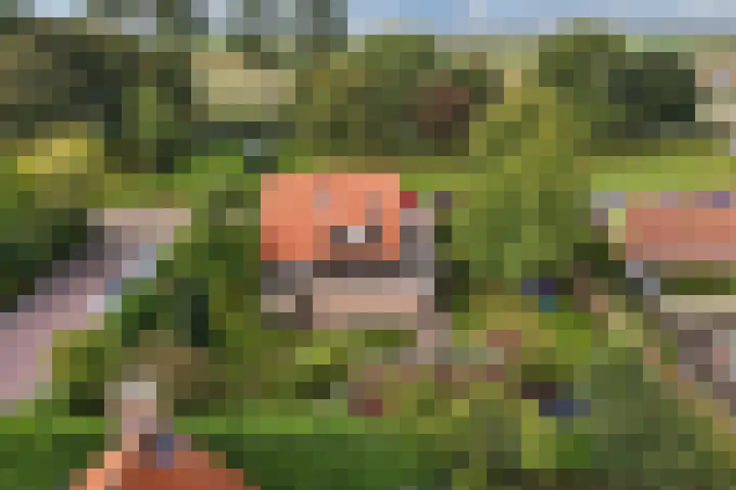 Waterkant 73 Ens thumbnail 46