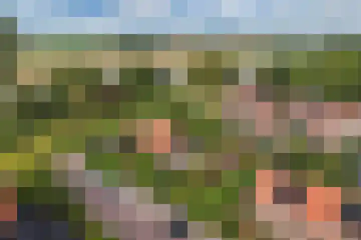 Waterkant 73 Ens thumbnail 48