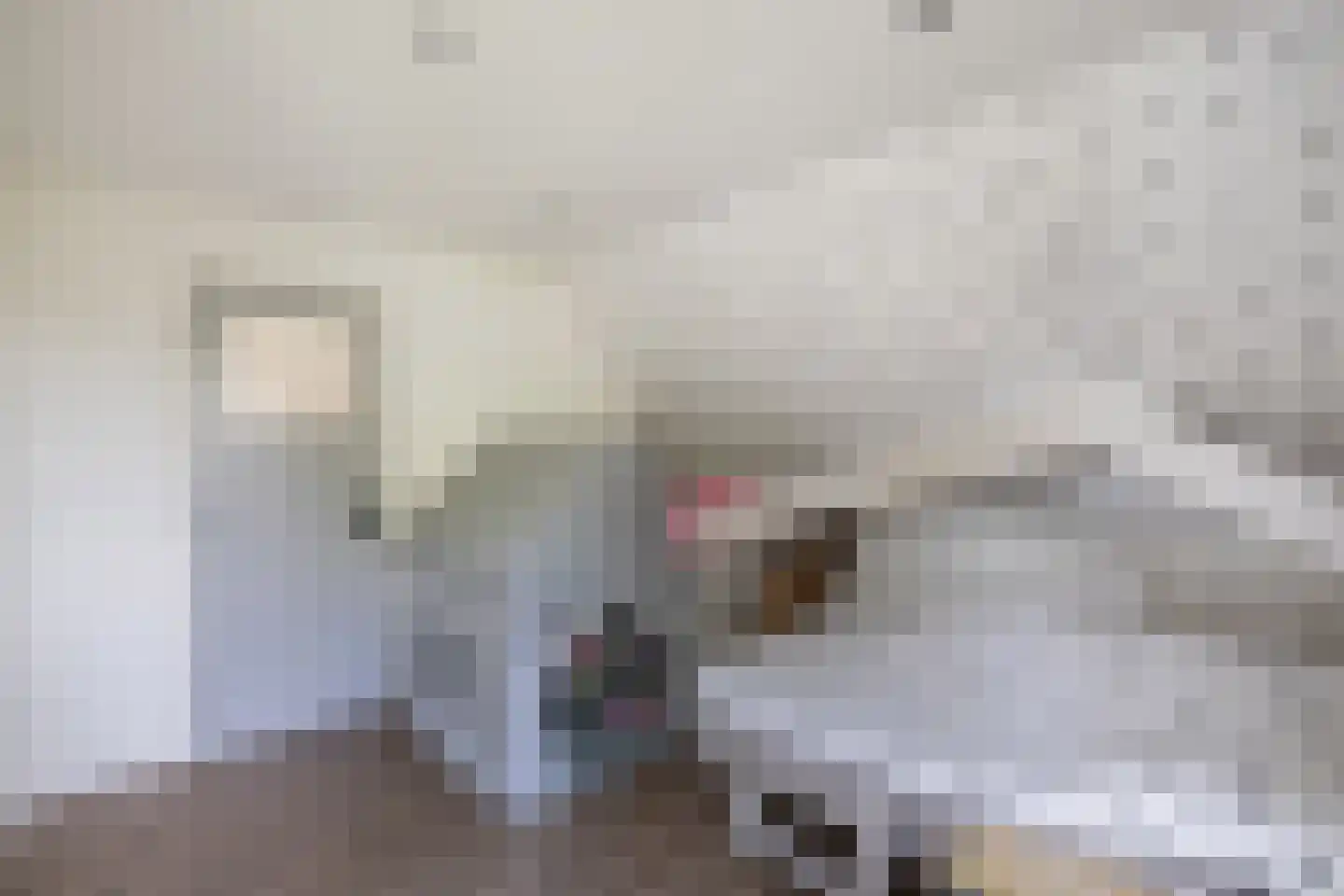 Waterkant 73 Ens thumbnail 53