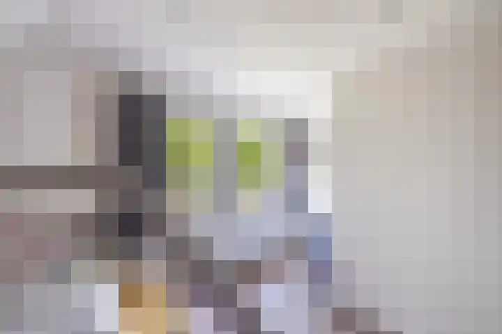 Waterkant 73 Ens thumbnail 54