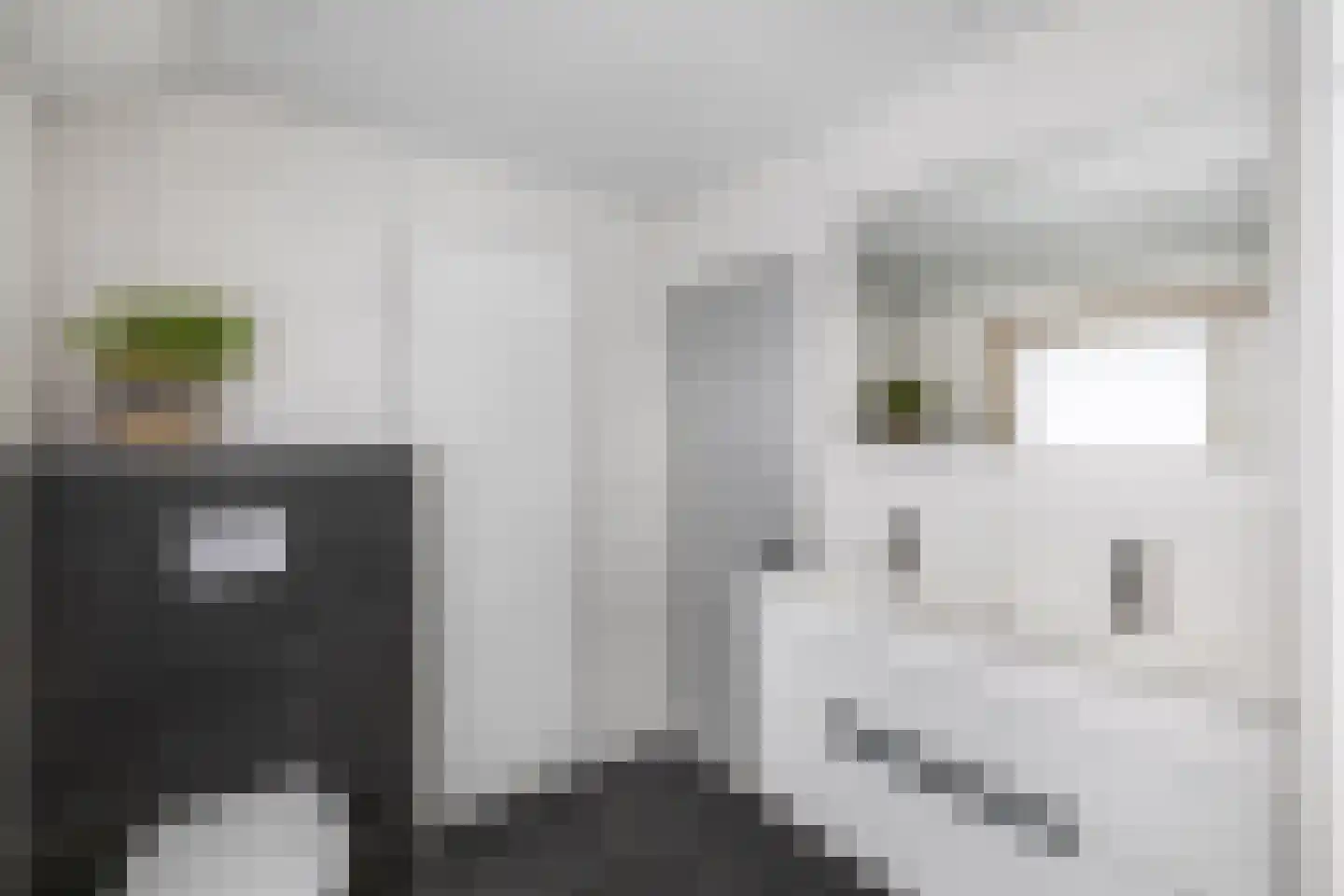 Waterkant 73 Ens thumbnail 60
