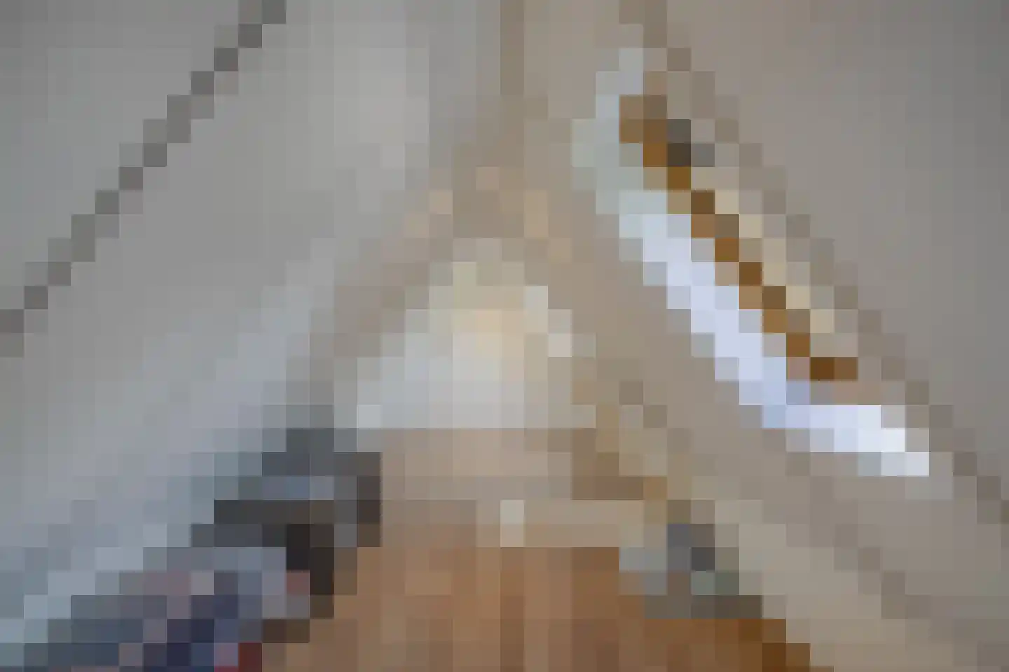 Waterkant 73 Ens thumbnail 61
