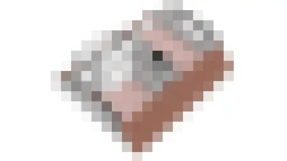 Waterkant 73 Ens thumbnail 65