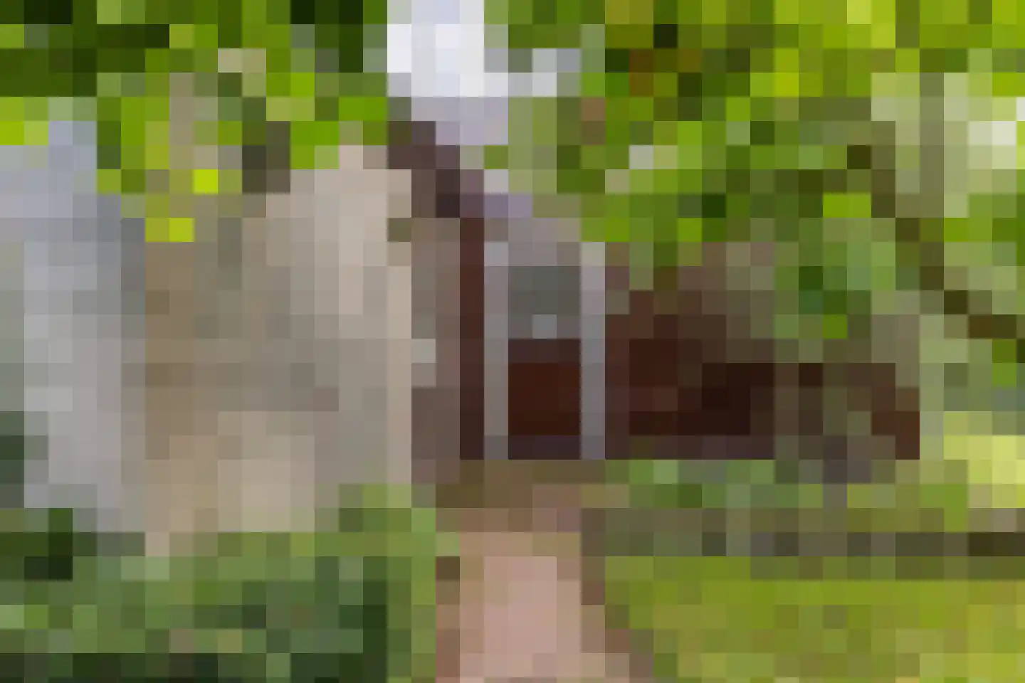 Waterkant 75 Ens thumbnail 11