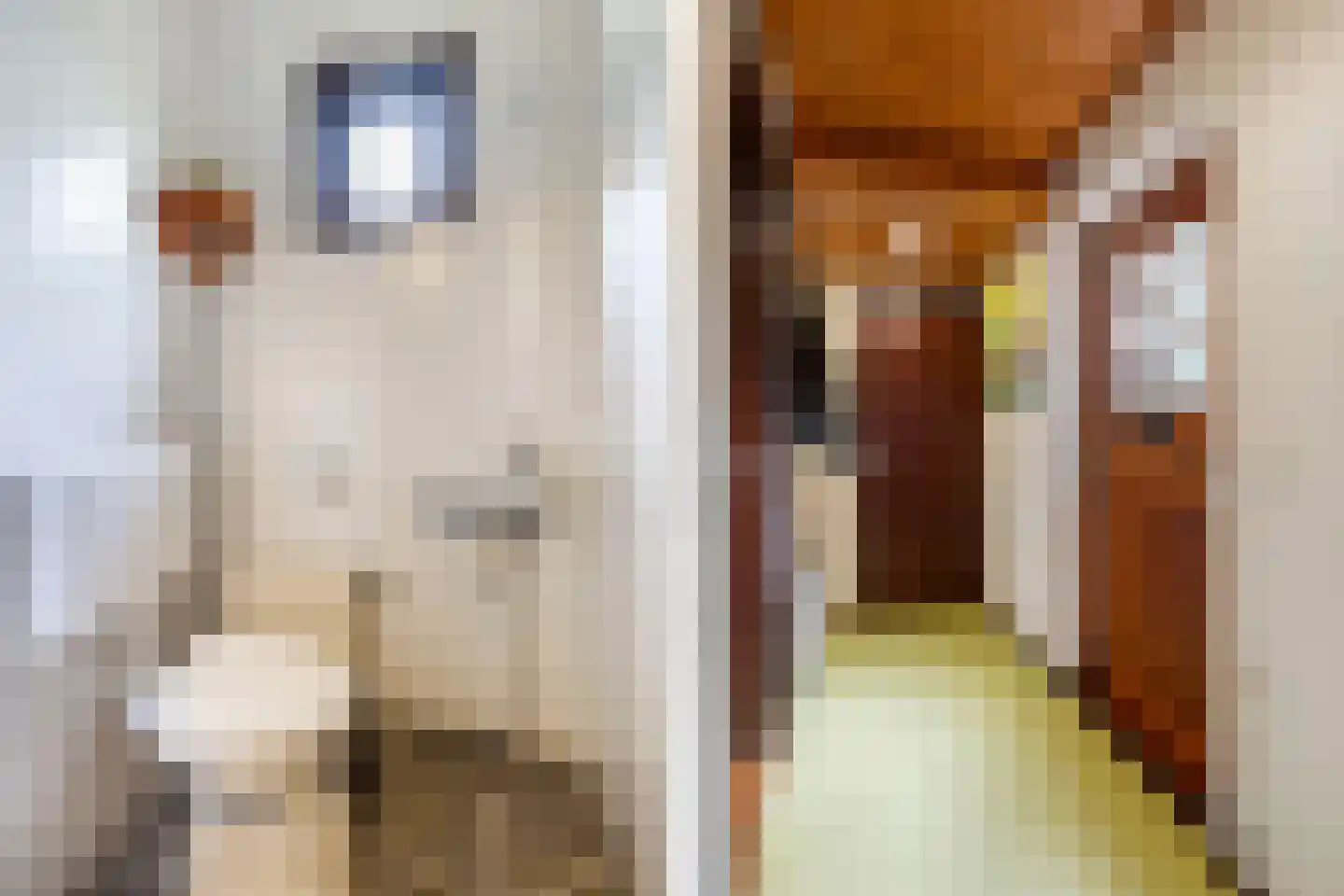 Waterkant 75 Ens thumbnail 14