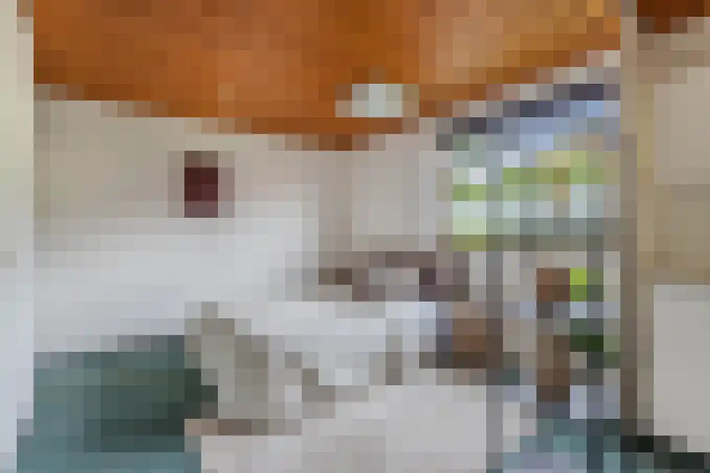 Waterkant 75 Ens thumbnail 44