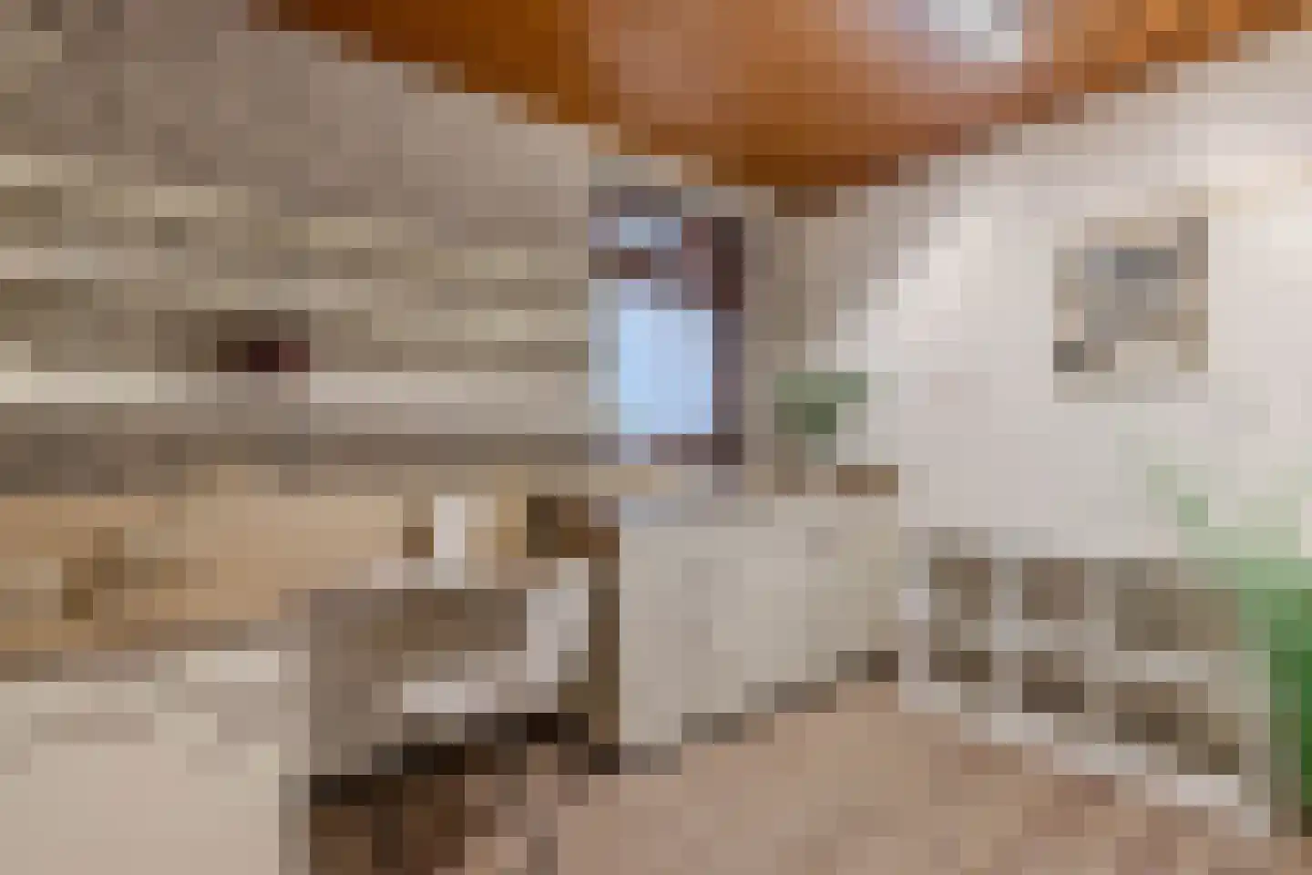 Waterkant 75 Ens thumbnail 48