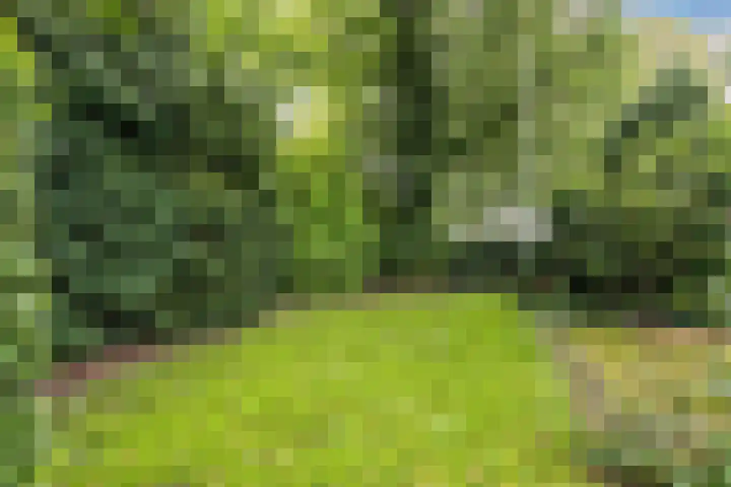 Waterkant 75 Ens thumbnail 52