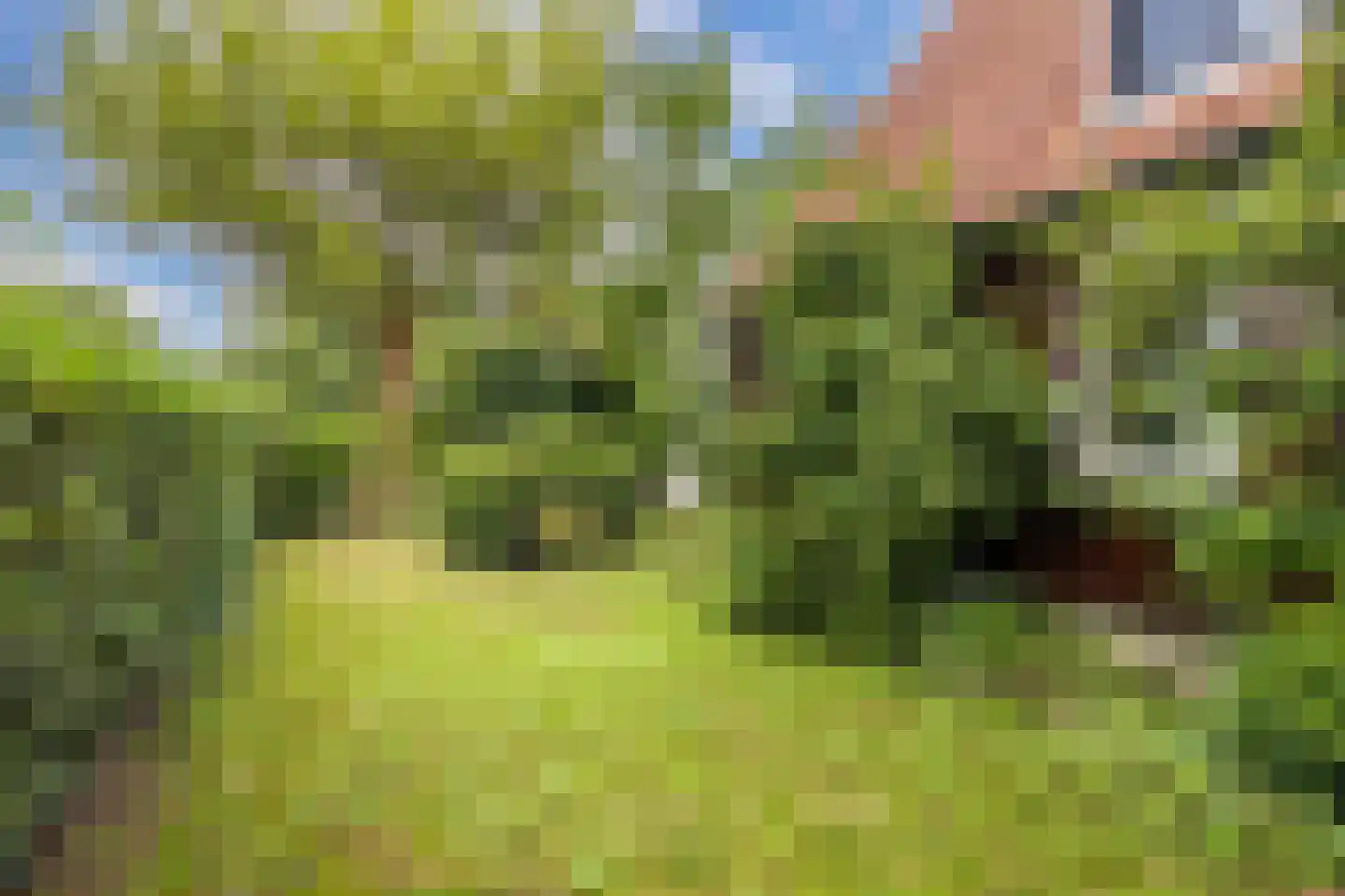 Waterkant 75 Ens thumbnail 54
