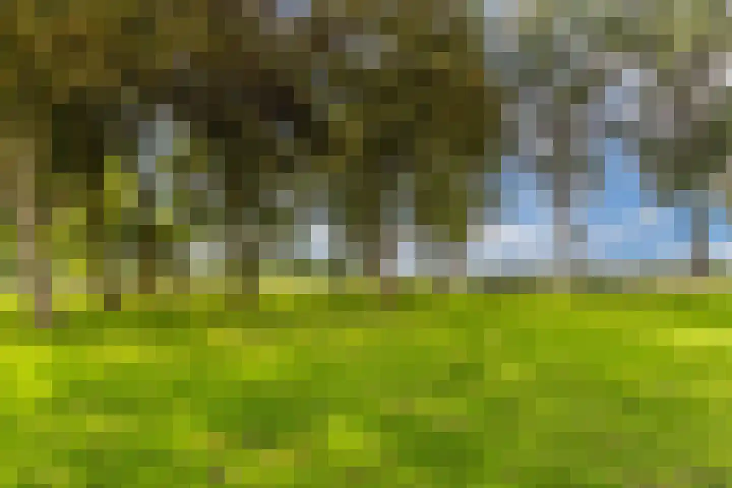 Waterkant 75 Ens thumbnail 55