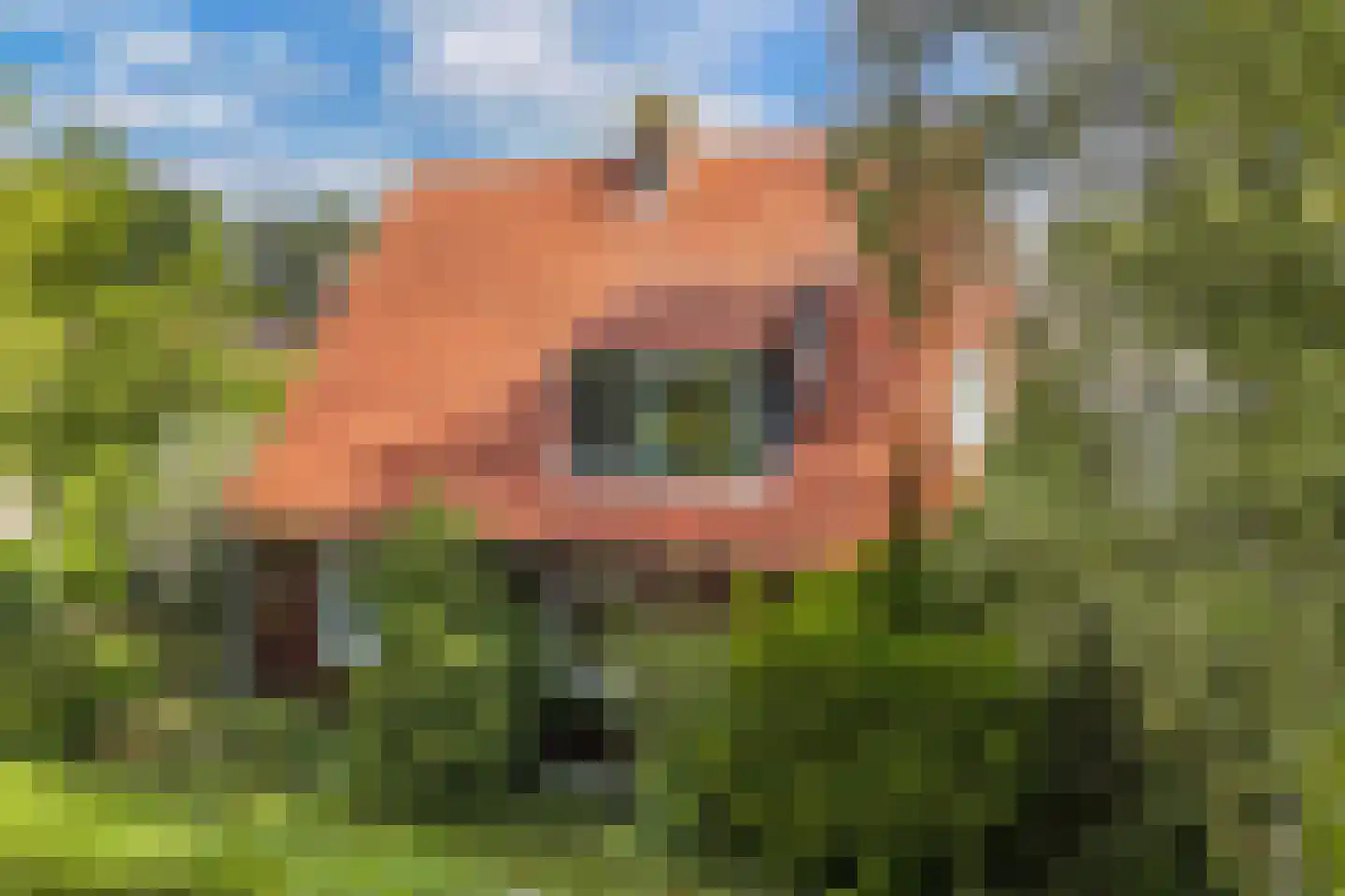 Waterkant 75 Ens thumbnail 56