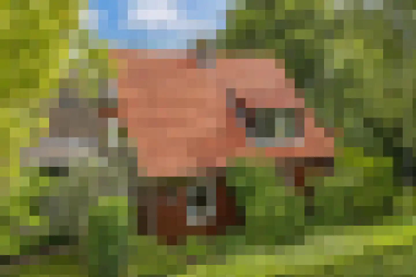 Waterkant 75 Ens thumbnail 57