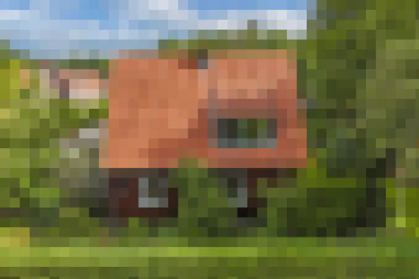 Waterkant 75 Ens thumbnail 58