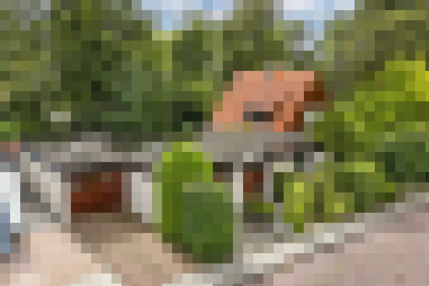 Waterkant 75 Ens thumbnail 5