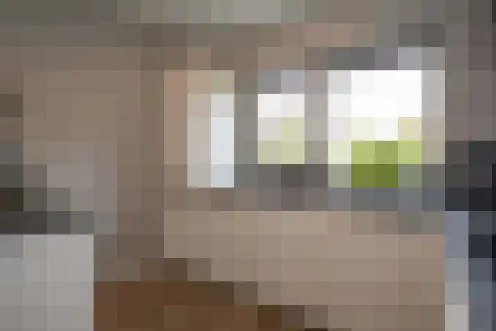 Waterkering 1 Wierden thumbnail 11