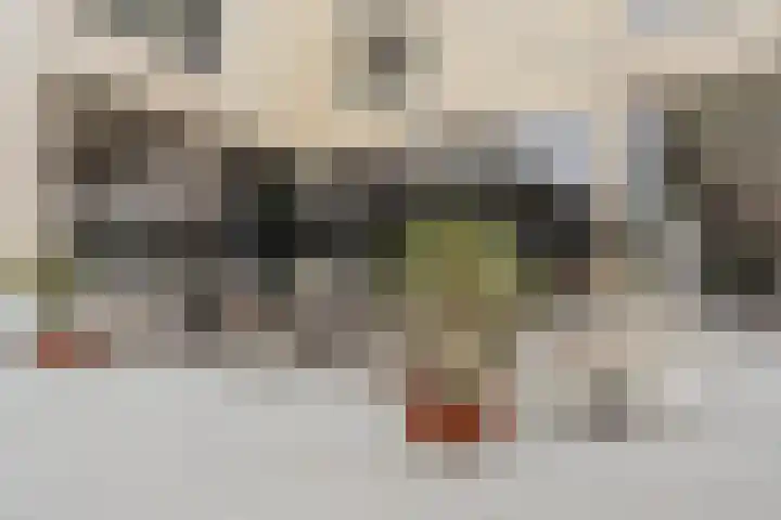 Waterkering 1 Wierden thumbnail 14