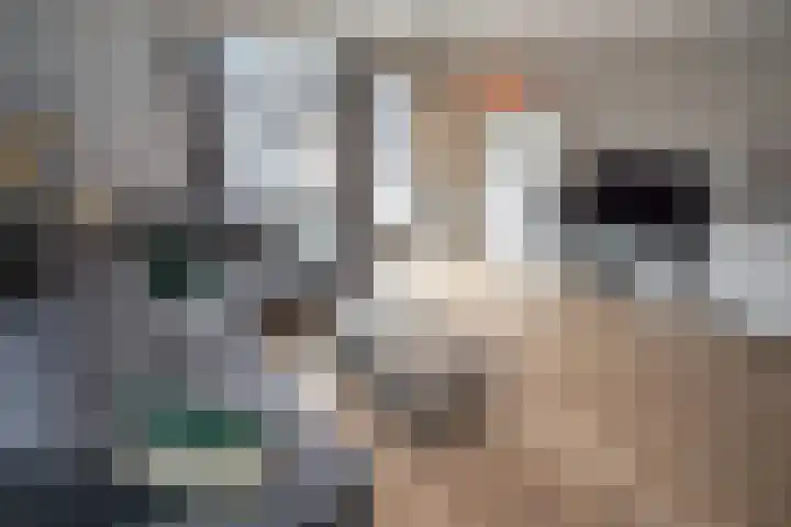Waterkering 1 Wierden thumbnail 18