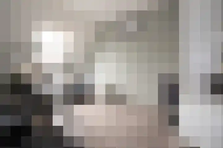 Waterkering 1 Wierden thumbnail 27