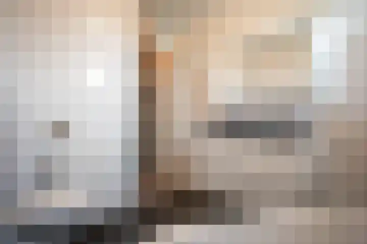Waterkering 1 Wierden thumbnail 33