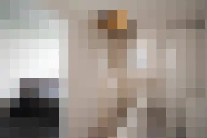 Waterkering 1 Wierden thumbnail 36