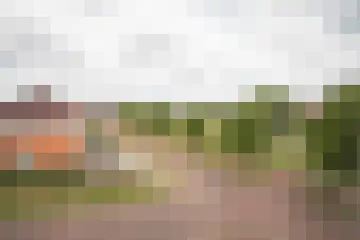 Waterkering 1 Wierden thumbnail 41