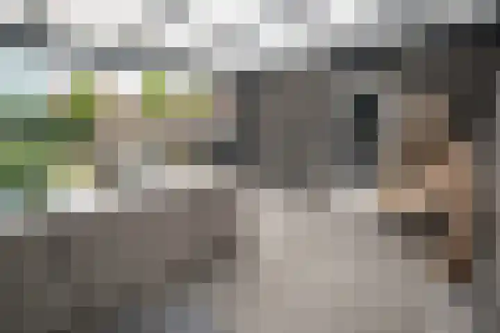 Waterkering 1 Wierden thumbnail 42