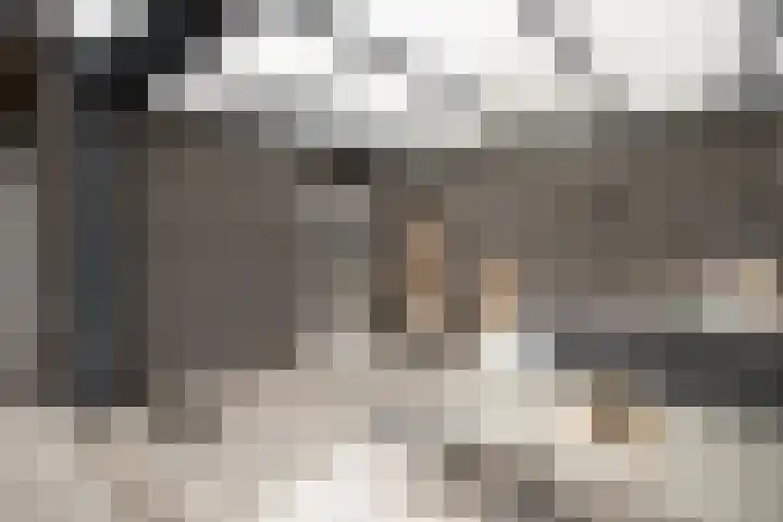 Waterkering 1 Wierden thumbnail 44