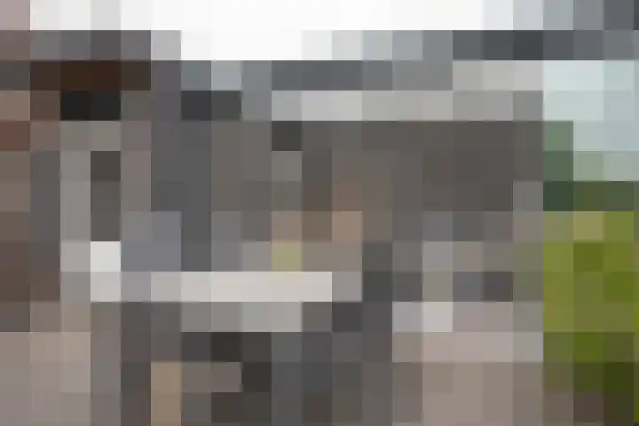 Waterkering 1 Wierden thumbnail 47