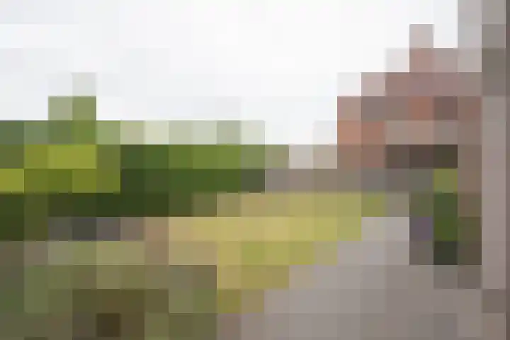 Waterkering 1 Wierden thumbnail 52