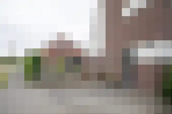Waterkering 1 Wierden thumbnail 53