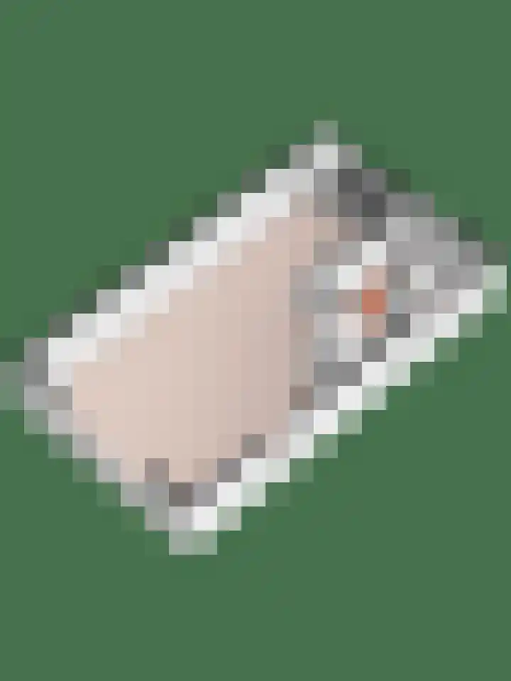Waterkering 1 Wierden thumbnail 58