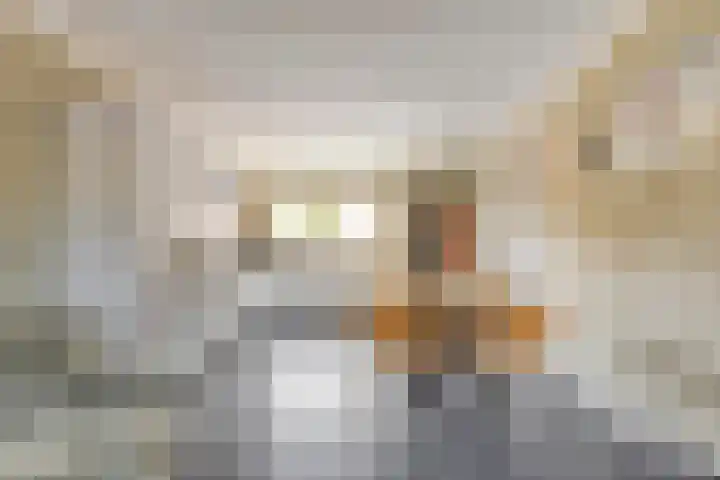 Waterkers 108 Zwaag thumbnail 11