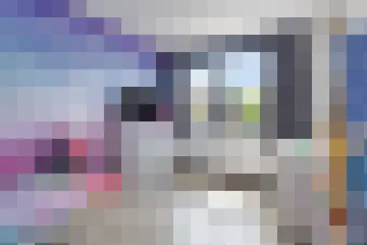 Waterkers 108 Zwaag thumbnail 15