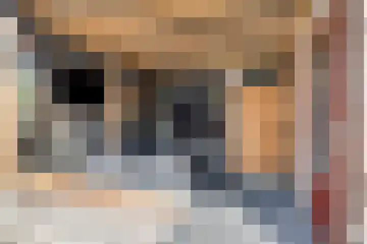 Waterkers 108 Zwaag thumbnail 26