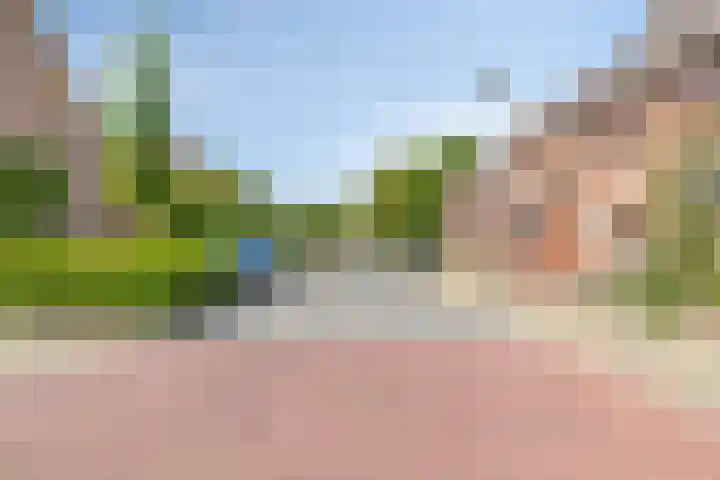 Waterkers 108 Zwaag thumbnail 27