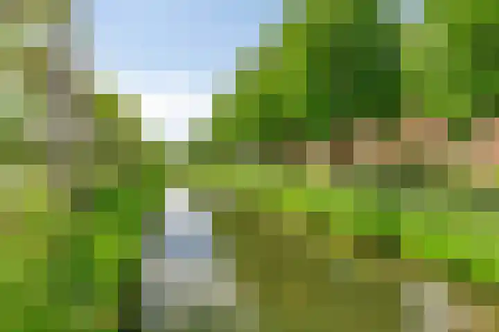 Waterkers 108 Zwaag thumbnail 29