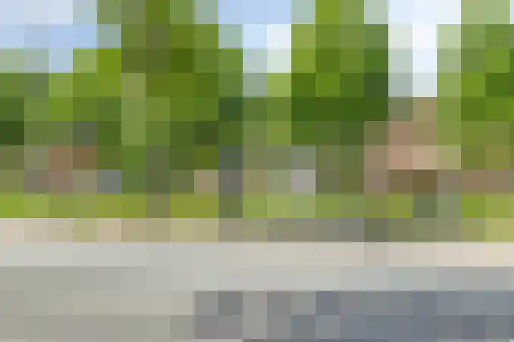 Waterkers 108 Zwaag thumbnail 30