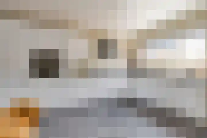 Waterkers 108 Zwaag thumbnail 4