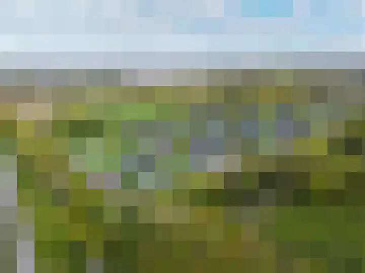 Waterkers 13 Almelo thumbnail 5