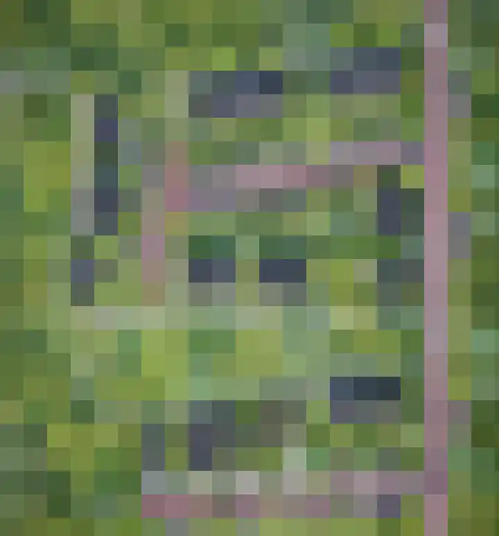 Waterkers 13 Almelo thumbnail 6