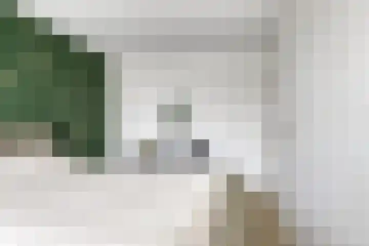 Waterkers 14 Kampen thumbnail 18