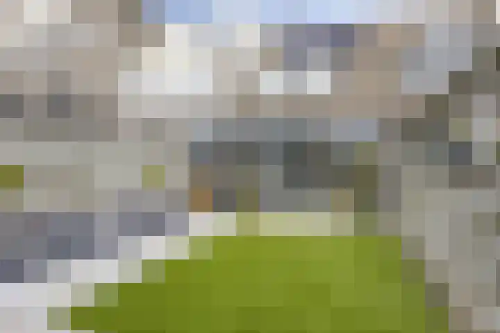 Waterkers 14 Kampen thumbnail 29