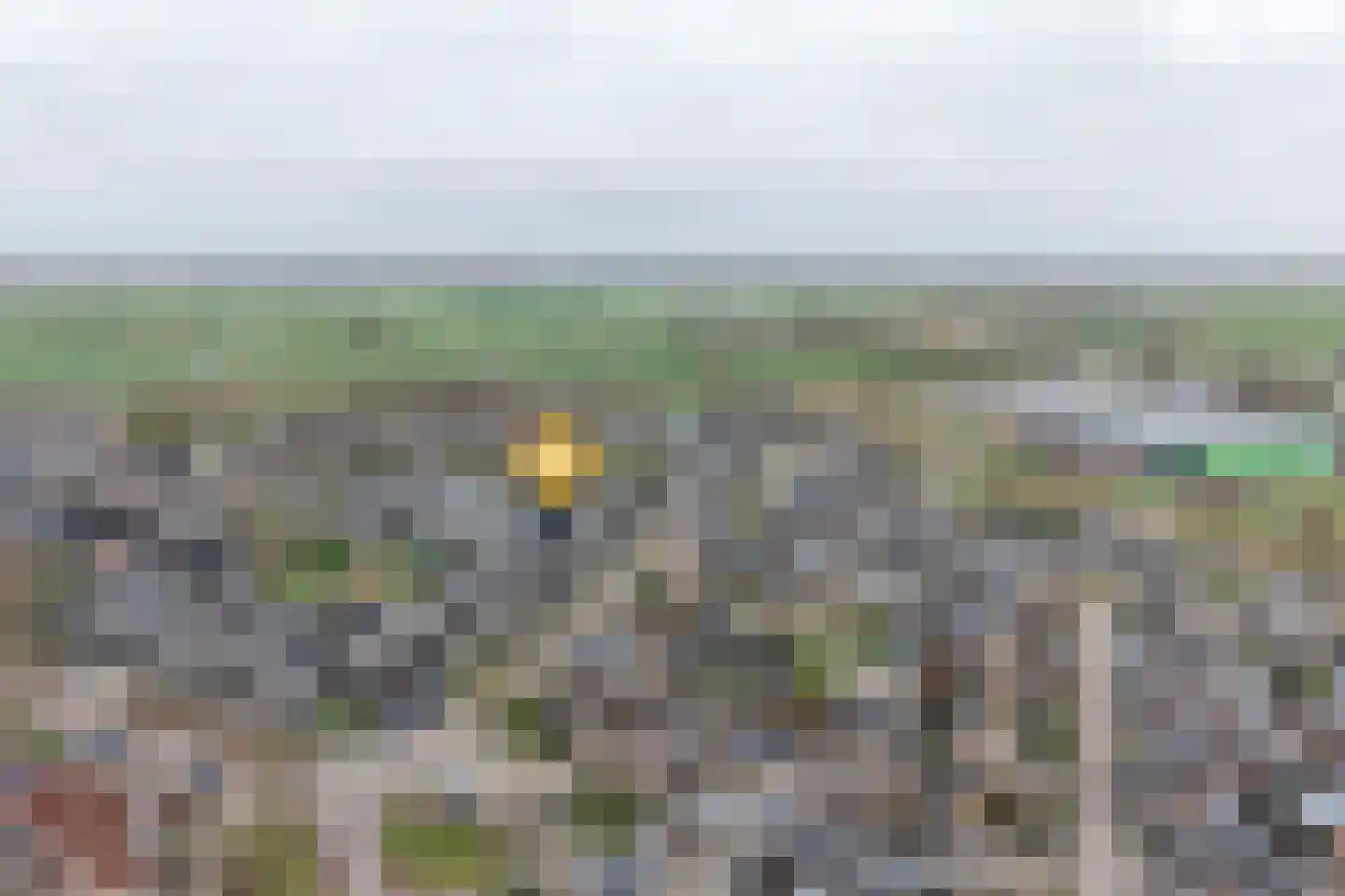 Waterkers 14 Kampen thumbnail 36