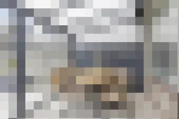 Waterkers 14 Kampen thumbnail 7